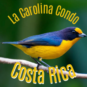 Costa Rico Condo Rental Best Price Best Layout