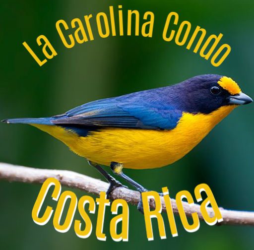La Carolina Condo in Costa Rica
